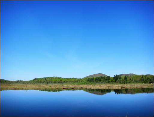 Adirondack Wetlands:  Heron  Marsh from the first overlook on the Heron Marsh Trail at the Paul Smiths VIC